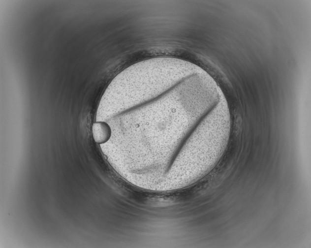 X0000111040498200907231538