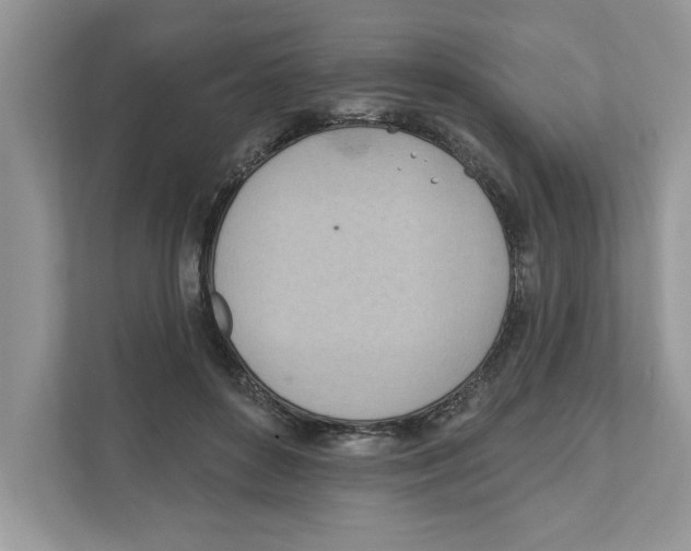 X0000111040504200907231538