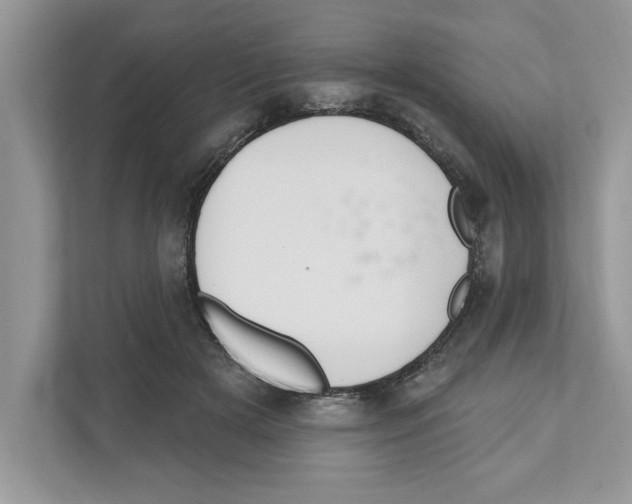 X0000111040505200907231538