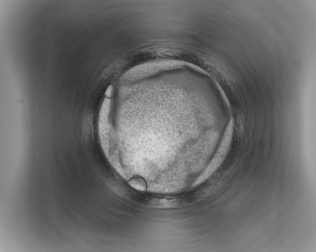 X0000111040506200907231538