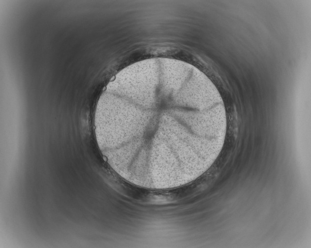 X0000111040510200907231538