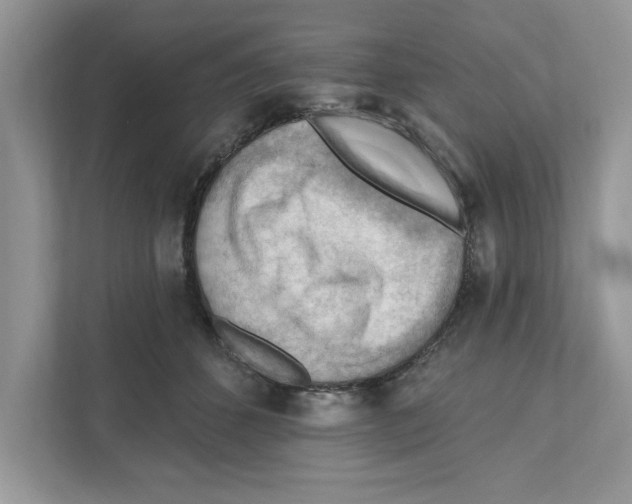 X0000111040512200907231538