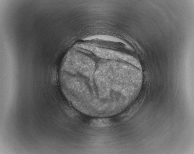 X0000111040517200907231538