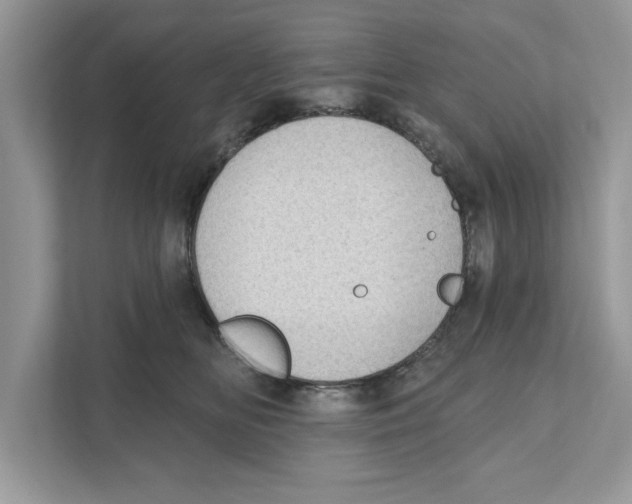 X0000111040518200907231538