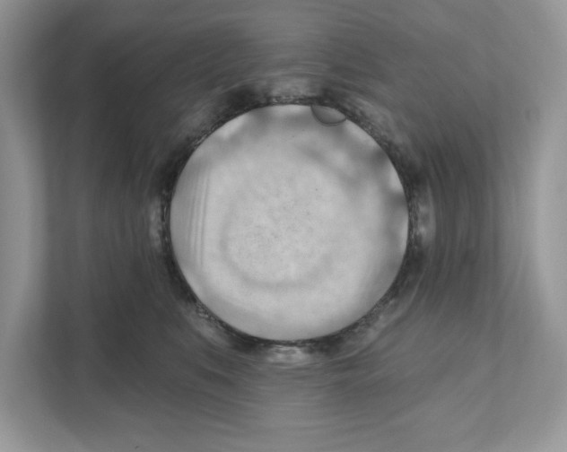 X0000111040519200907231538