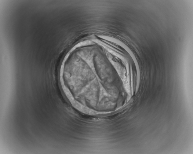 X0000111040520200907231538