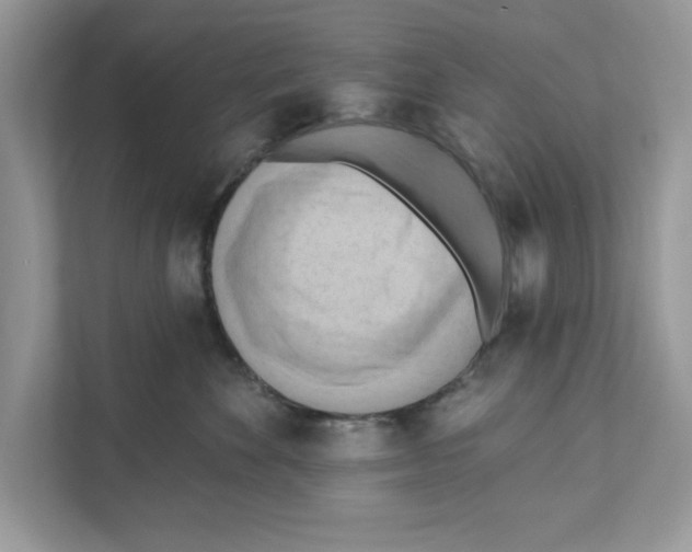 X0000111040524200907231538