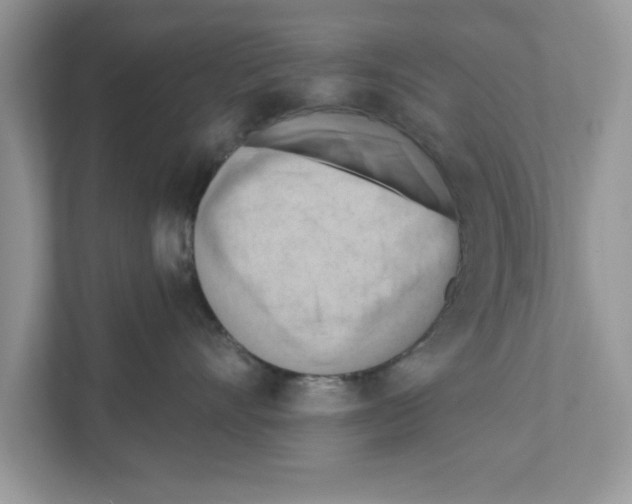 X0000111040528200907231538