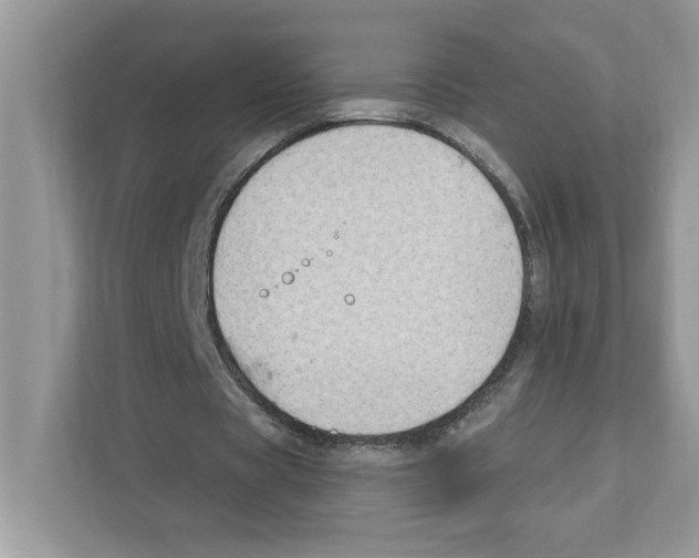 X0000111040529200907231537