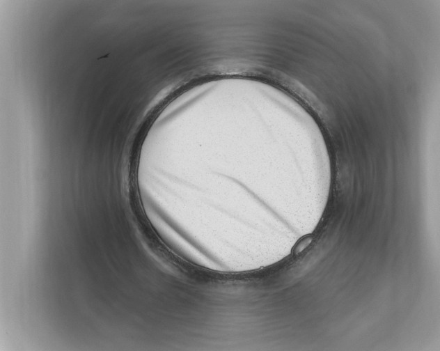 X0000111040530200907231537