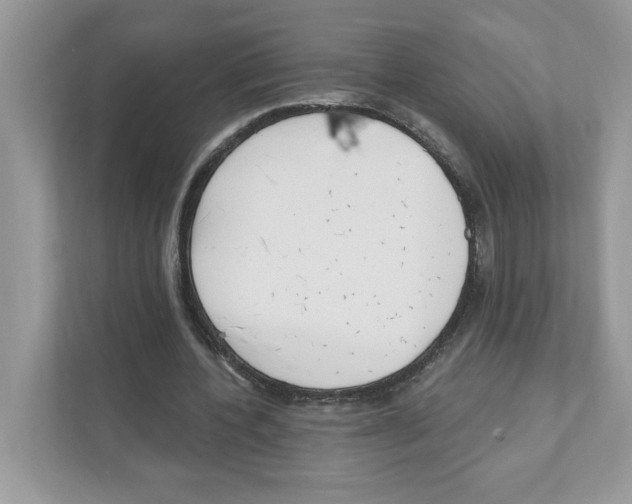 X0000111040532200907231537