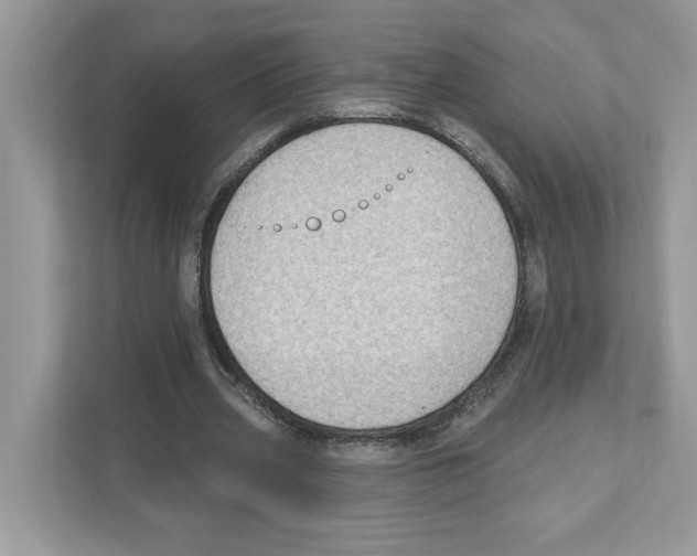 X0000111040533200907231537