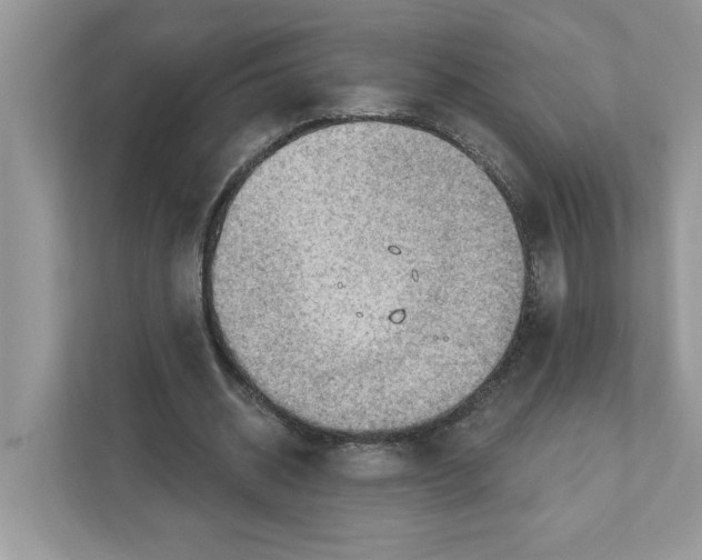 X0000111040534200907231537