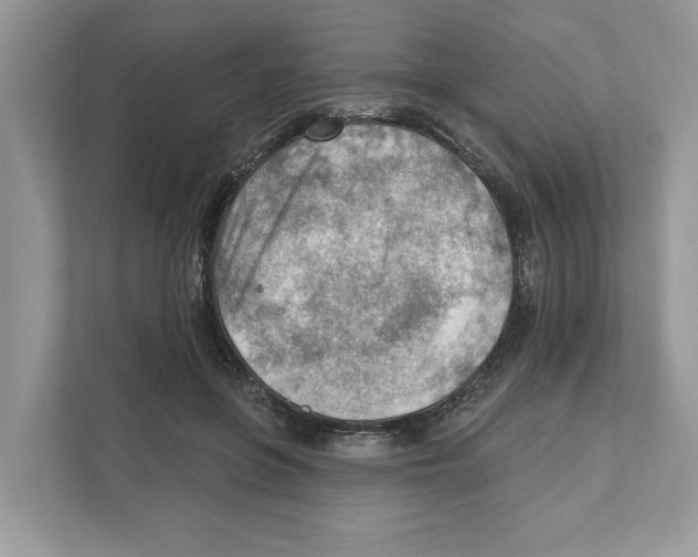 X0000111040551200907231537