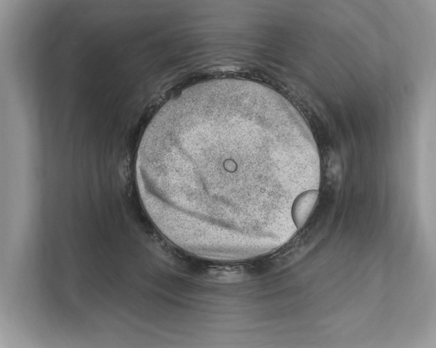 X0000111040559200907231538