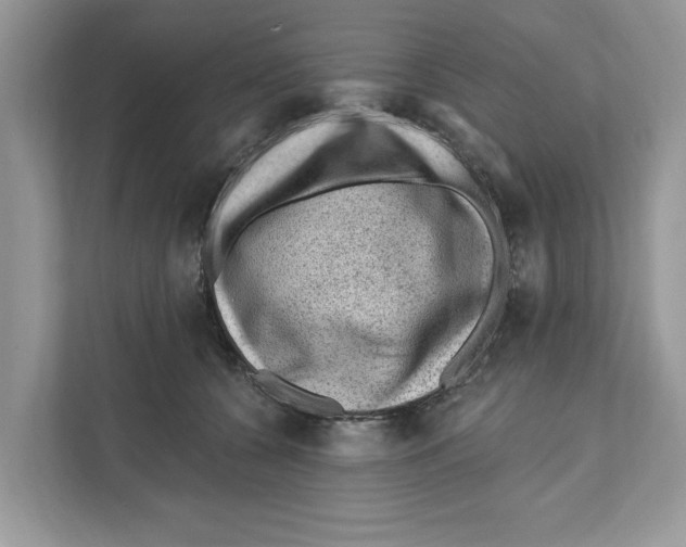 X0000111040560200907231538