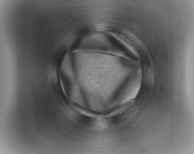 X0000111040562200907231538