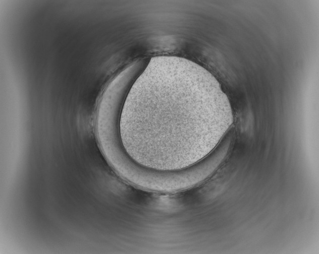 X0000111040564200907231538