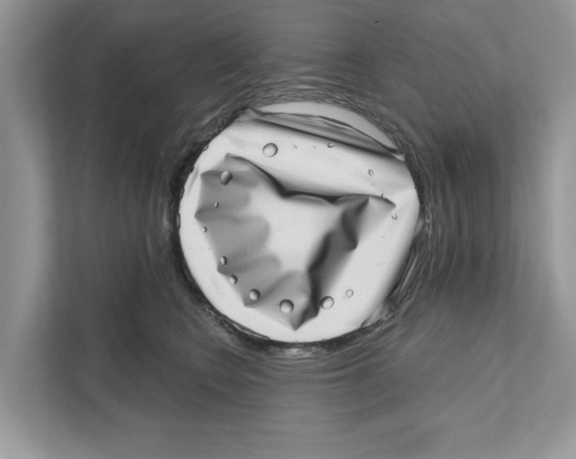 X0000111040566200907231538