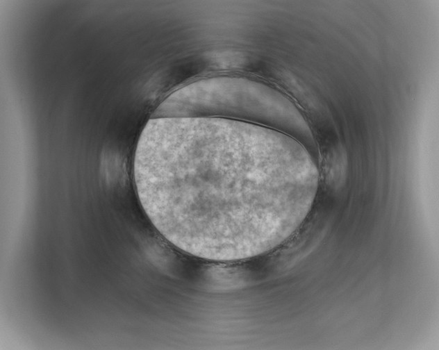 X0000111040568200907231538