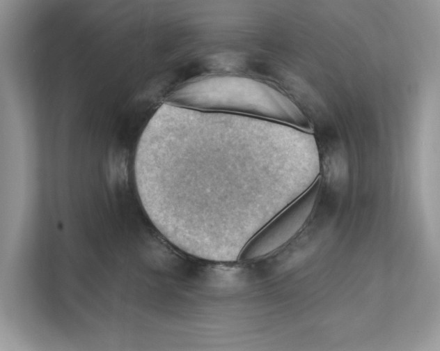 X0000111040570200907231538