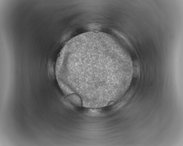 X0000111040573200907231538