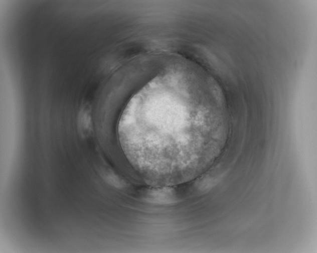 X0000111040576200907231538