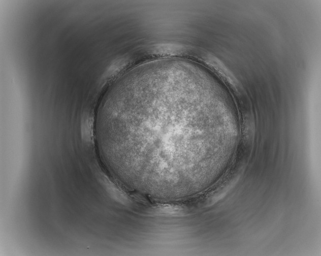 X0000111040585200907231537