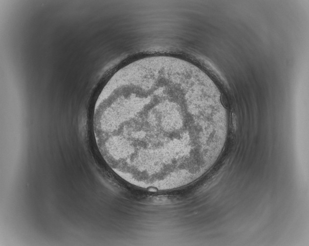 X0000111040588200907231537