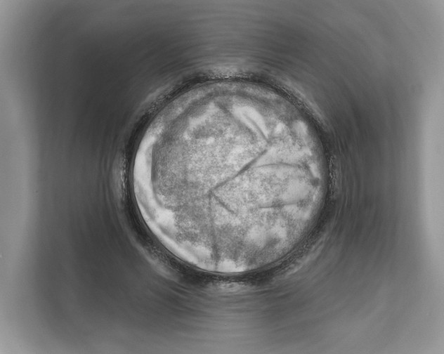 X0000111040590200907231537