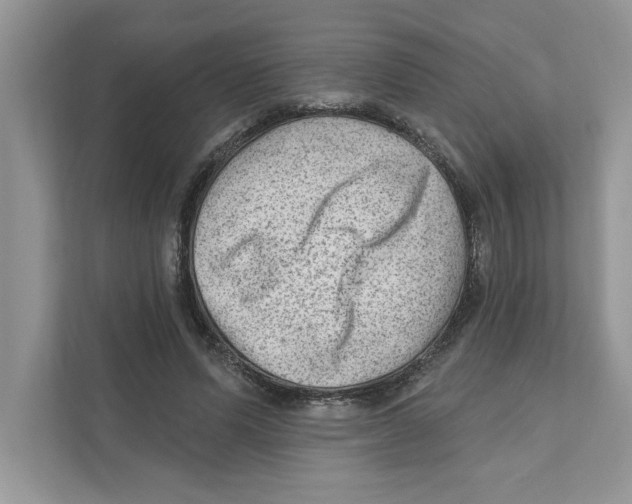 X0000111040591200907231537