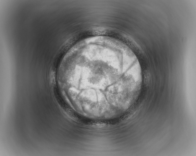 X0000111040598200907231537