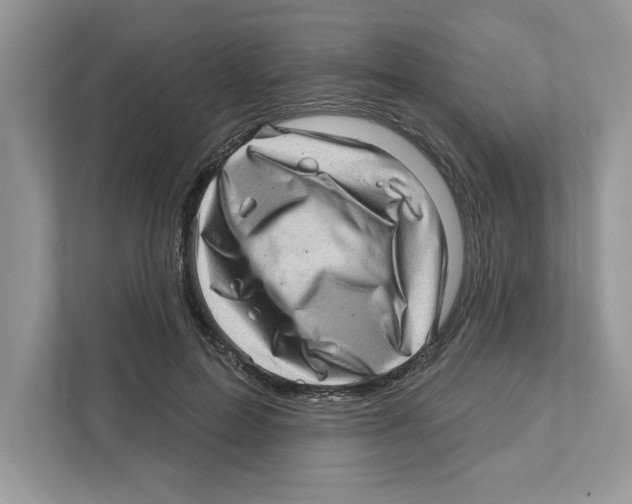 X0000111040599200907231537