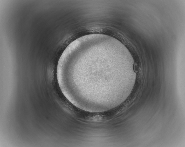 X0000111040600200907231537