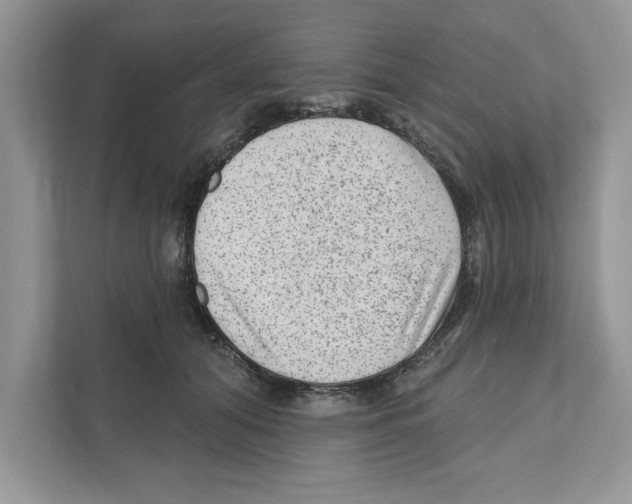 X0000111040608200907231537