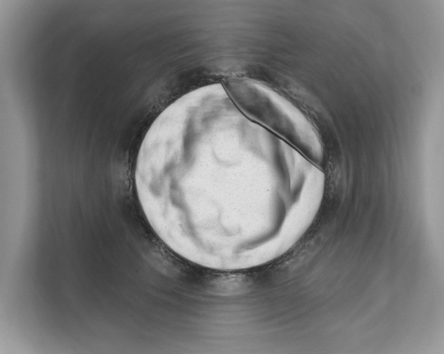 X0000111040609200907231537