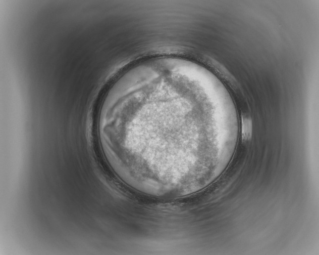 X0000111040627200907231536