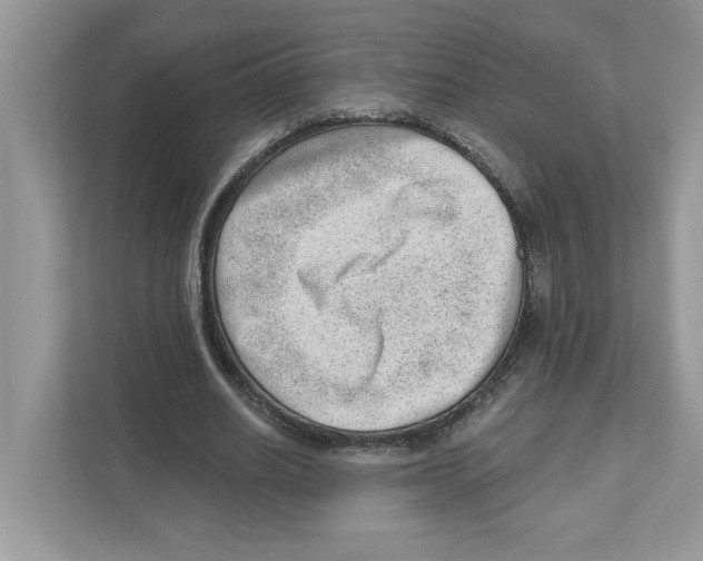 X0000111040630200907231536