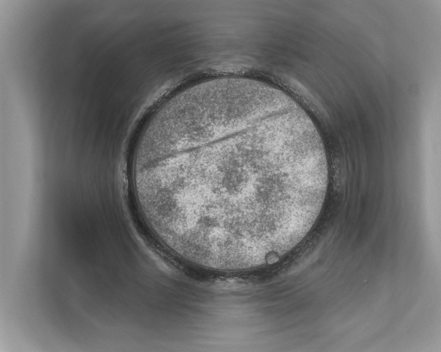 X0000111040634200907231536