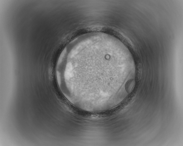 X0000111040641200907231536