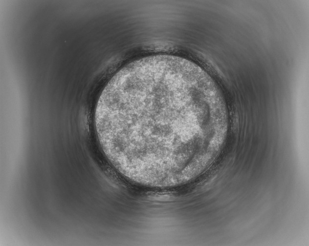 X0000111040643200907231536