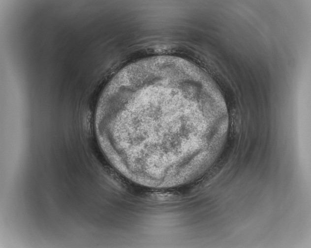 X0000111040650200907231536