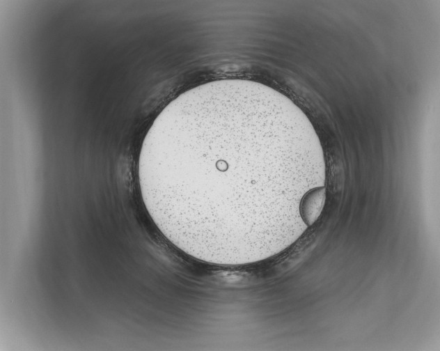 X0000111040654200907231536