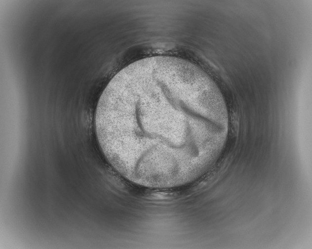 X0000111040657200907231536