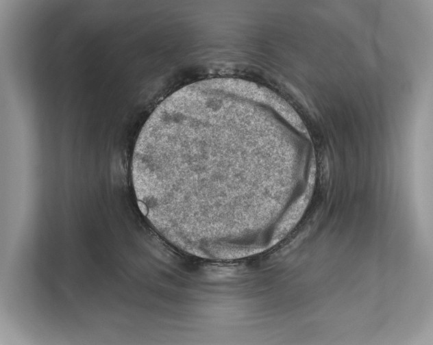 X0000111040661200907231536