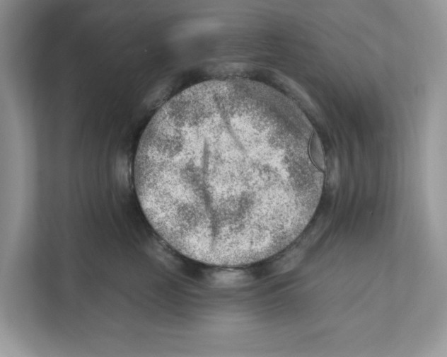 X0000111040669200907231536