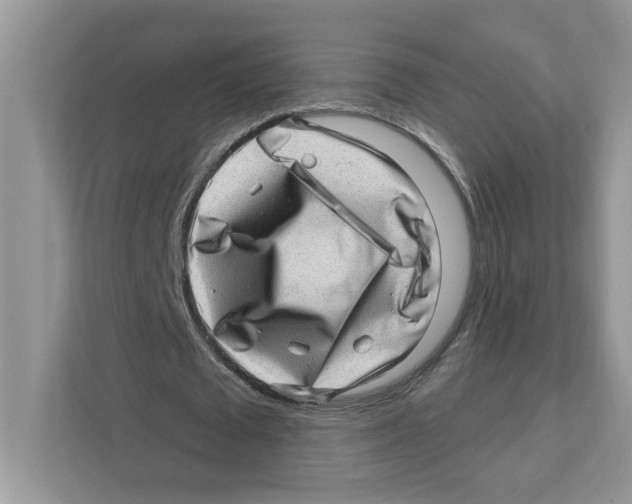 X0000111040673200907231536