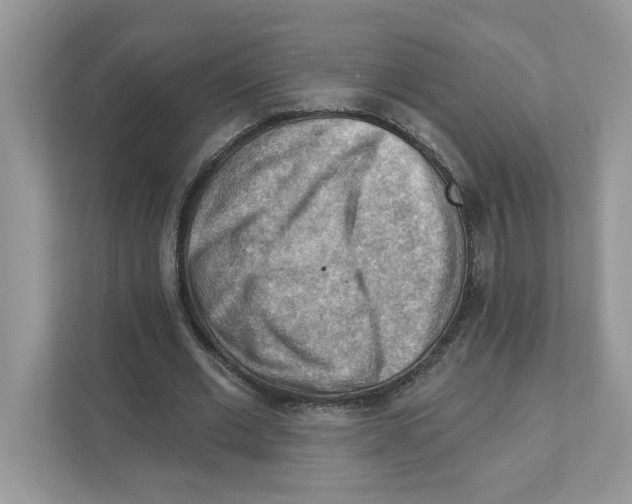 X0000111040677200907231536