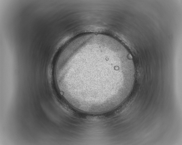 X0000111040679200907231536