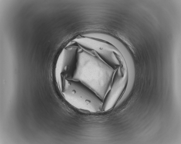 X0000111040681200907231536